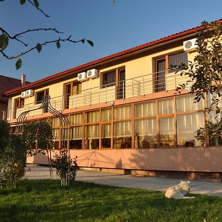 Pension Andronic Timisoara Esterno foto