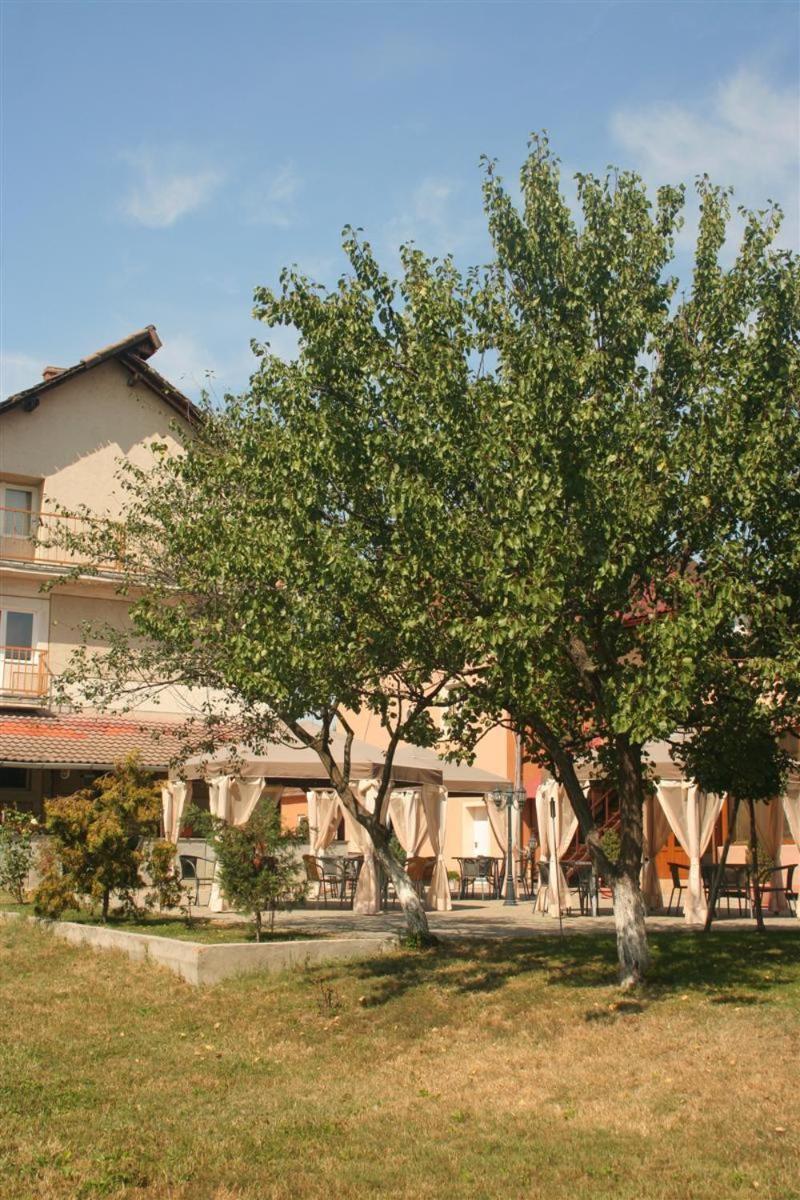Pension Andronic Timisoara Esterno foto