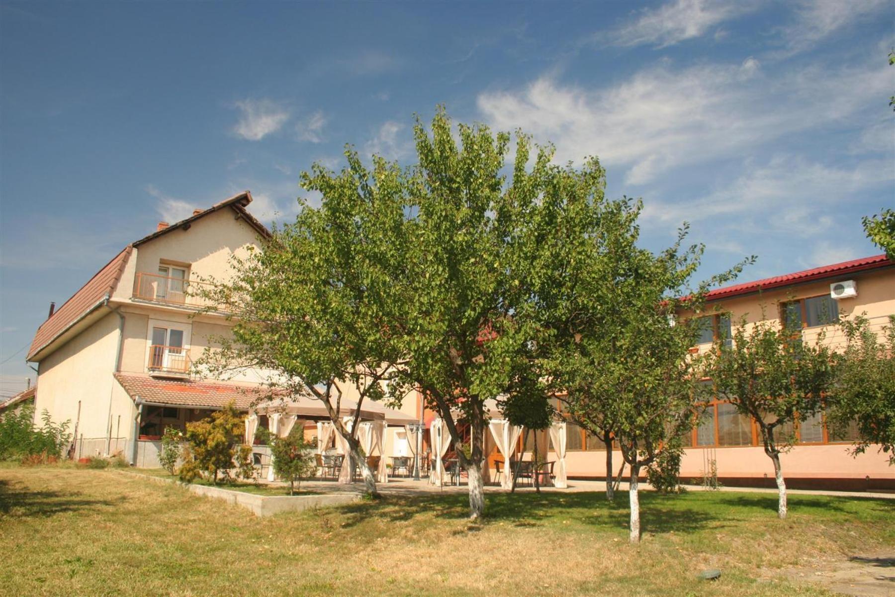 Pension Andronic Timisoara Esterno foto