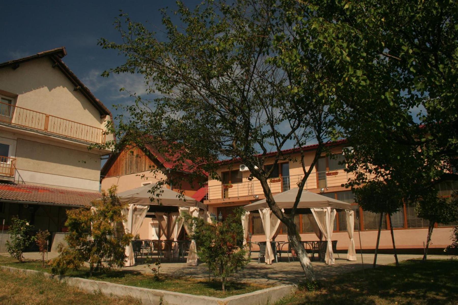 Pension Andronic Timisoara Esterno foto