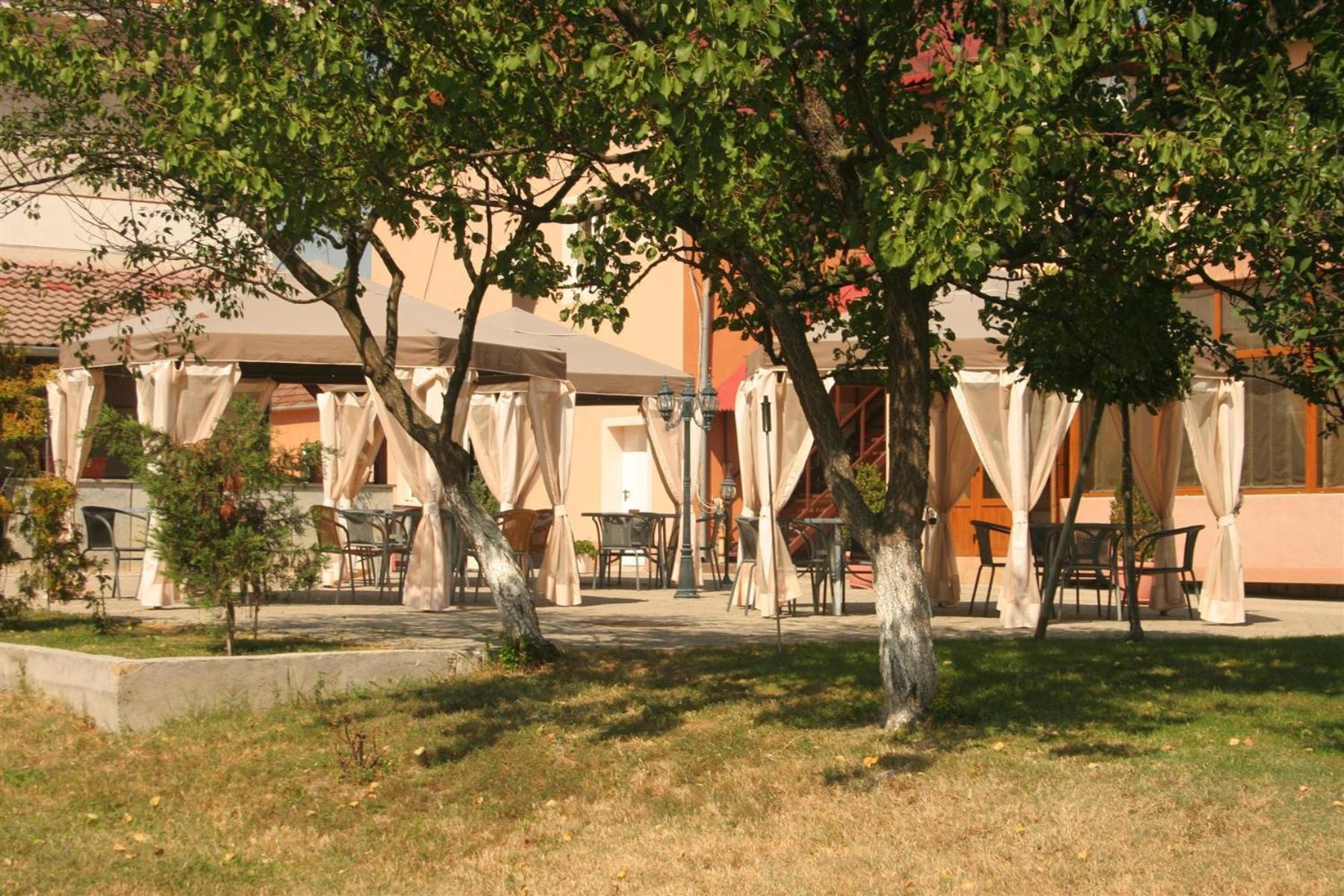 Pension Andronic Timisoara Esterno foto