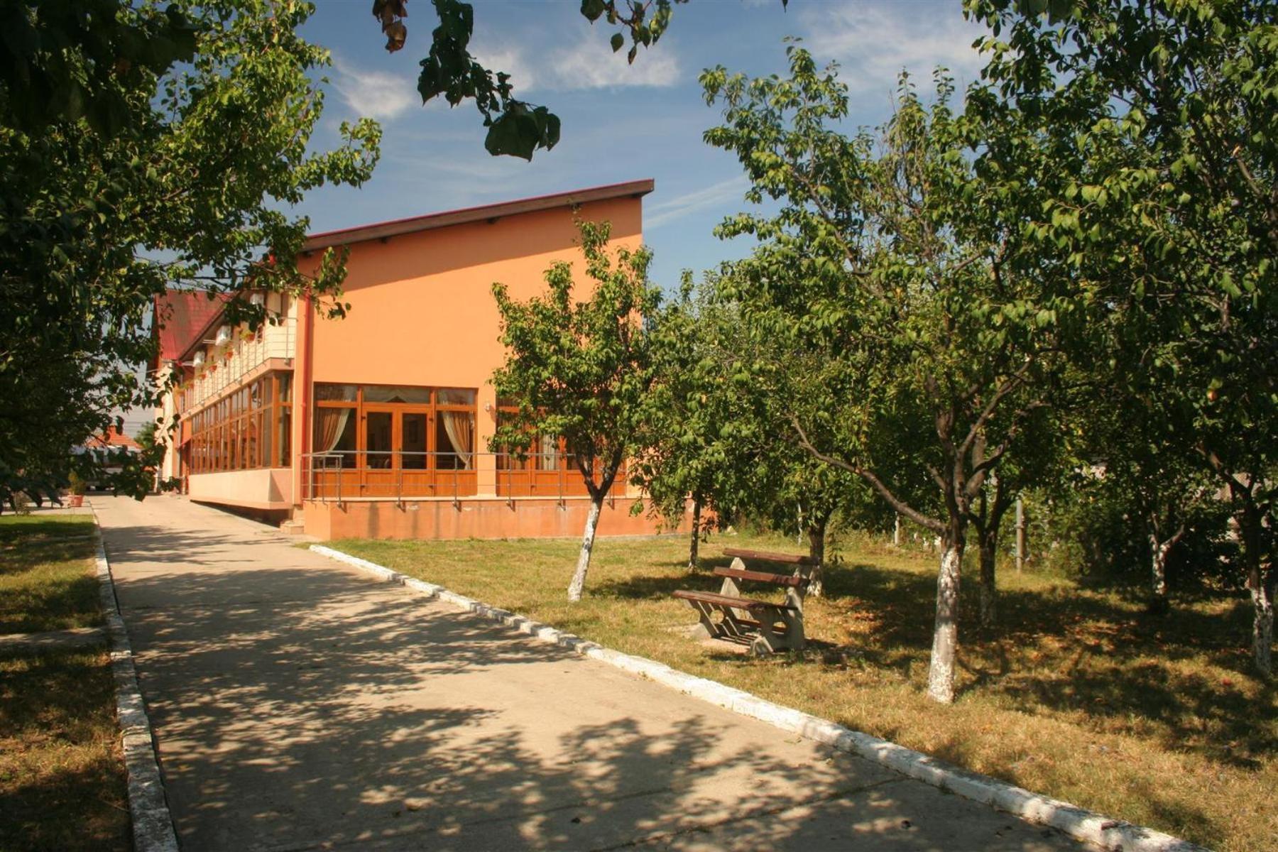 Pension Andronic Timisoara Esterno foto