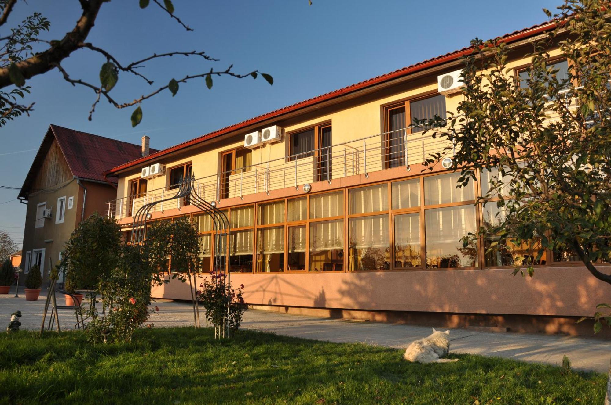 Pension Andronic Timisoara Esterno foto