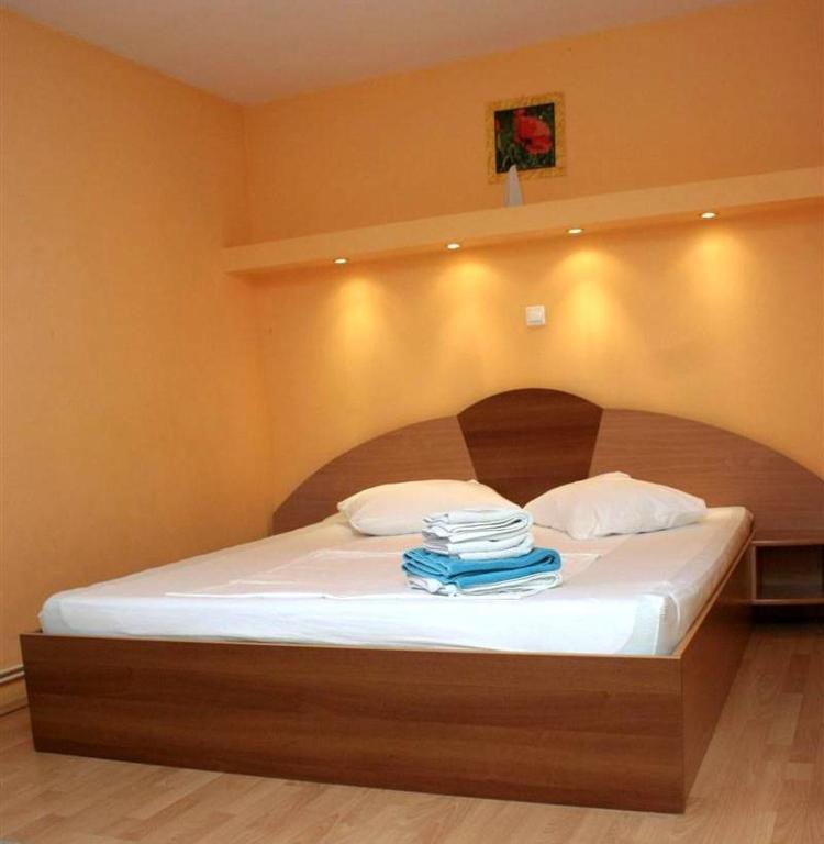 Pension Andronic Timisoara Camera foto